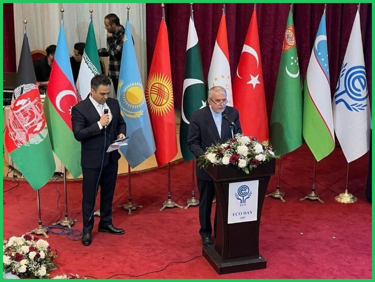 صالحی امیری: کشورهای عضو اکو از ریشه‌ای واحد در فرهنگ، تمدن و حافظه تاریخی برخوردارند