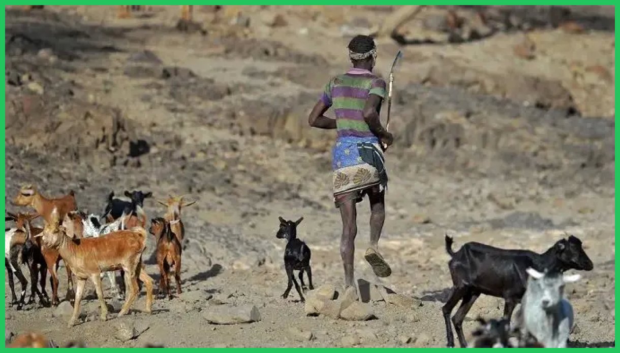 آیا انسان‌ها هنوز در حال تکامل هستند؟